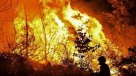 Portugal pagará 31 millones de euros a víctimas de incendios de 2017
