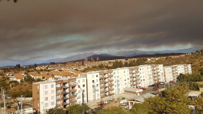 Onemi declarÃ³ alerta roja por incendio forestal en QuilpuÃ©