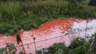 Derrame de pinturas en río de Chiloé causa grave daño ecológico