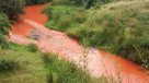 Sernapesca presentó denuncia por contaminación con pintura en el río Trainel