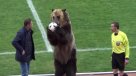 Un oso realizó el saque inicial en un partido de la tercera división de Rusia