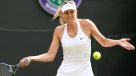 Maria Sharapova jugará en césped luego de tres años