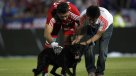 El perro Sultán vaticinó resultados de la fecha 10 y dio alentador pronóstico para la Roja femenina