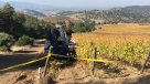 Trabajador agrícola muere aplastado por máquina cosechadora en Rauco
