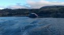 Las impresionantes postales que dejó el varamiento de una ballena en Puerto Edén
