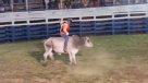 Un hombre murió aplastado por un toro en un rodeo