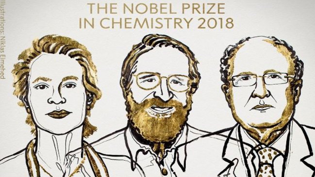  Nobel de Química para avances en desarrollo de proteínas  