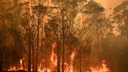   Hablando de...: Los efectos que tendría en Chile un incendio forestal como el de Australia 