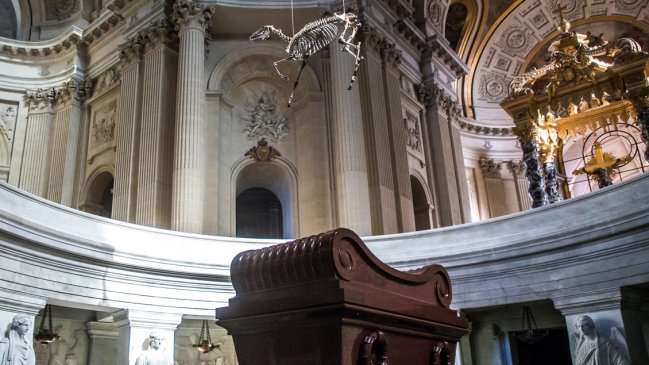  Polémica en Francia por esqueleto de caballo suspendido sobre la tumba de Napoleón  