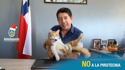   Junto a un gatito: Alcalde de Antofagasta anunció que no lanzarán fuegos artificiales para este Año Nuevo 