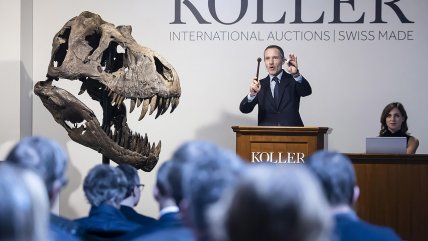  Museo de Zurich subasta esqueleto de tiranosaurio rex en 4,8 millones de euros  