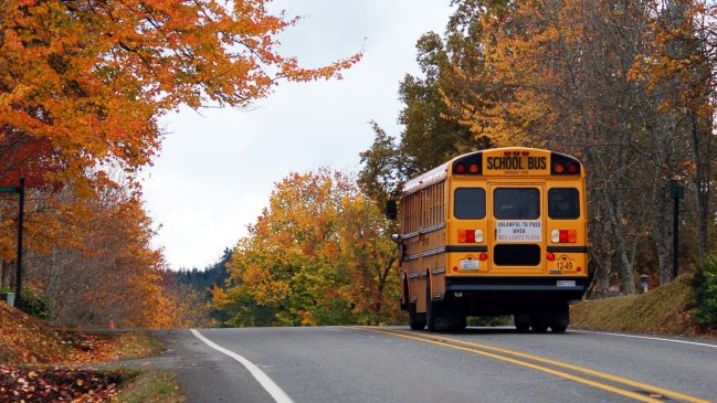  Chofer de bus escolar se cansó del comportamiento de los niños y los abandonó en plena carretera  