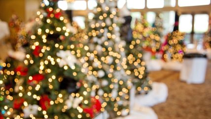   ¿Cómo identificar luces seguras para el árbol de Navidad? 