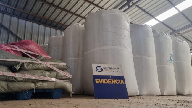  Sernapesca incautó cerca de 30 toneladas de algas secas en Coquimbo  
