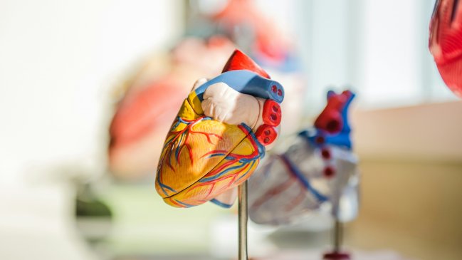  Identifican gen responsable de cardiopatías en personas con síndrome de Down  