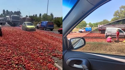  Volcamiento de camión con tomates bloqueó tránsito en Teno  