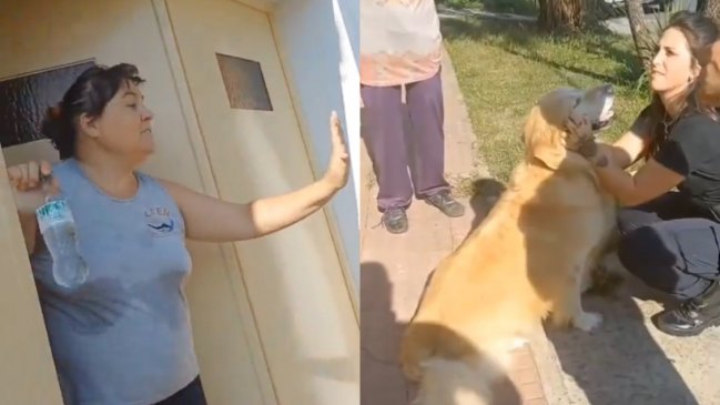  Mujer de Argentina llevó a su perro a una carnicería para faenarlo: 