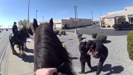   Agente policial logró detener a ladrón tras intensa persecución a caballo 