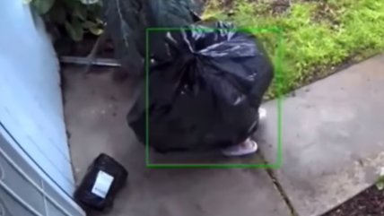   Ladrón se disfrazó como bolsa de basura para robar en EEUU 