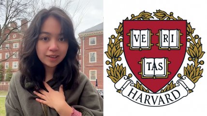  Chilena reveló cómo es estudiar en Harvard: 