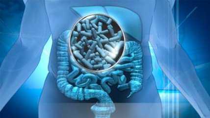  Congreso Futuro: Probióticos para evitar enfermedades respiratorias  