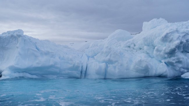   Gobierno de Argentina verificará supuesto hallazgo de Rusia en la Antártida 