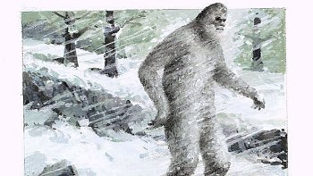   Científicos retomaron la búsqueda del Yeti, el abominable hombre de las nieves 