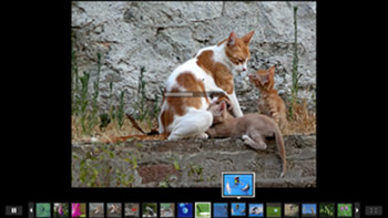 Flickr mejoró su sistema de presentación de fotos