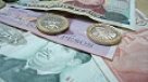 Experto recomendó cautela financiera durante el año 2009