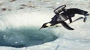 National Geographic destacó el uso de 