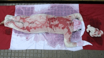 Activistas protestaron ante embajada de Canadá en Chile contra cacería de focas