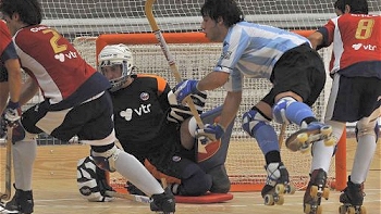   DT de la selección chilena de hockey: 