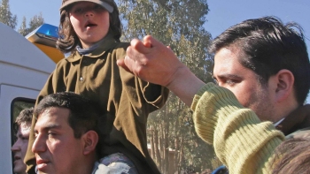 Perros ayudaron a salvar a la niña extraviada en Valparaíso