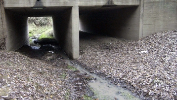 Ingeniero de Licancel deberá comprar buses a la comunidad por contaminación del Mataquito