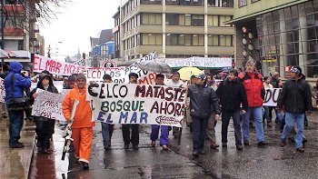 Pescadores de Los Ríos denunciaron a Celco por falsificación de estudios ambientales