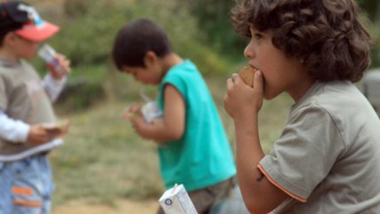   Doctor recomendó la homotoxicología para combatir estrés infantil tras el terremoto 