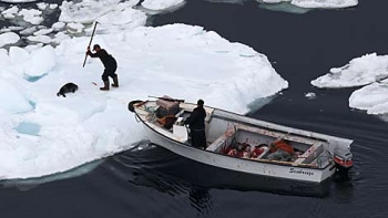 Pescadores de Terranova comenzaron la polémica caza anual de focas