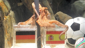 Blog de Aldo Schiappacasse: Jabonoso