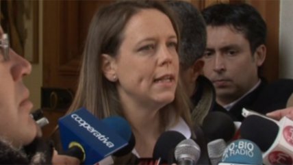   Ena Von Baer y el caso Ruiz-Tagle 