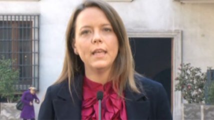   Von Baer usó de ejemplo a Aliste Vega en tema de indultos: 