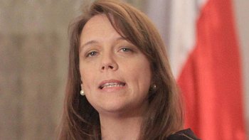 Von Baer responsabilizó a la Concertación por crisis del gas en Magallanes