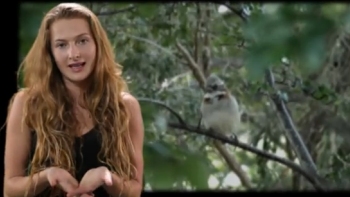 Actores advierten riesgos de instalar minas de carbón en la Patagonia