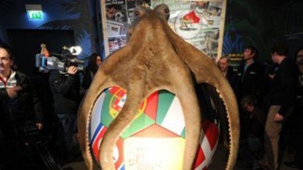 El pulpo Paul ya tiene un monumento en Alemania