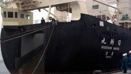   Armada: El buque ballenero está a 1.000 kilómetros de las aguas chilenas 