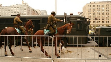 Agresión policial contra perro callejero
