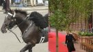 Un caballo sin jinete y el sacristán alegre: El lado B de la boda real
