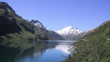 Greenpeace: Autoridades se hacen las locas ante las irregularidades en HidroAysén