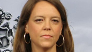 Gobierno desdramatizó invitación a invertir en tendido eléctrico de HidroAysén