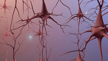   Neurobiólogos ganaron el Premio Príncipe de Asturias de Investigación 