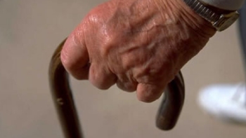   Avances en terapia celular invitan a 